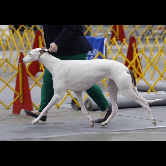 Meet your Posher, Jen - Picture 2 of 2